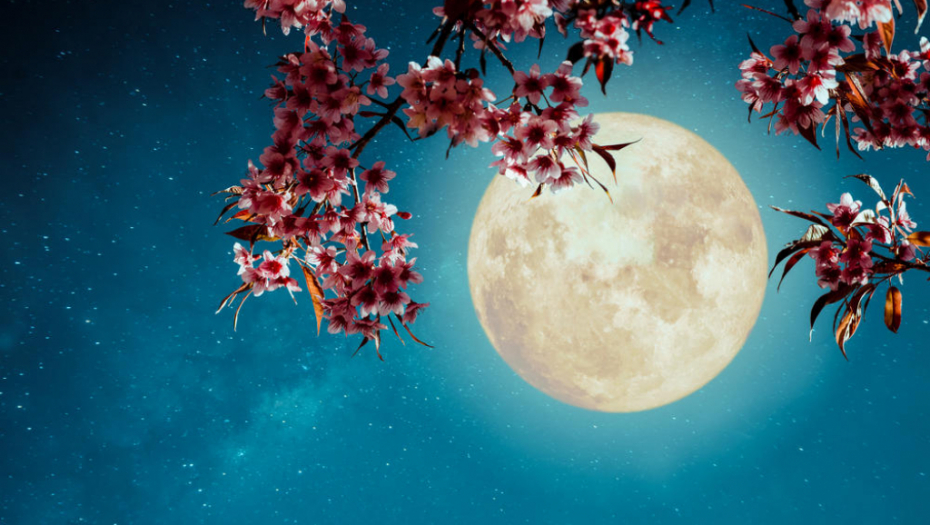 SUPERMESEC ILI CVETNI MESEC DONOSI SVIMA VELIKE PROMENE: Sreća nam je bliže nego što smo mislili!