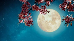 VELIKI MESEČNI HOROSKOP ZA MART Merkur će Blizancima  "zapržiti " čorbu na poslu, Raka očekuje romansa iz strasti