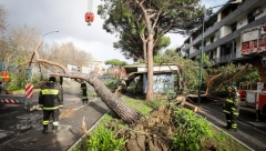 POGOĐEN VRH SVETSKOG TRGOVINSKOG CENTRA Oluja "Henri" nosi sve pred sobom, snimljen jezivi momenat udara groma (VIDEO)
