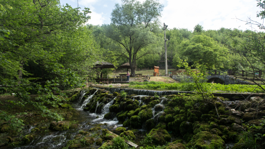 Želite da predstojeći vikend provedete u prirodi? Ovo su najbolja mesta za izlet u Srbiji