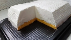 ČAROBNA FORMULA: Napravite šampitu za samo 15 minuta