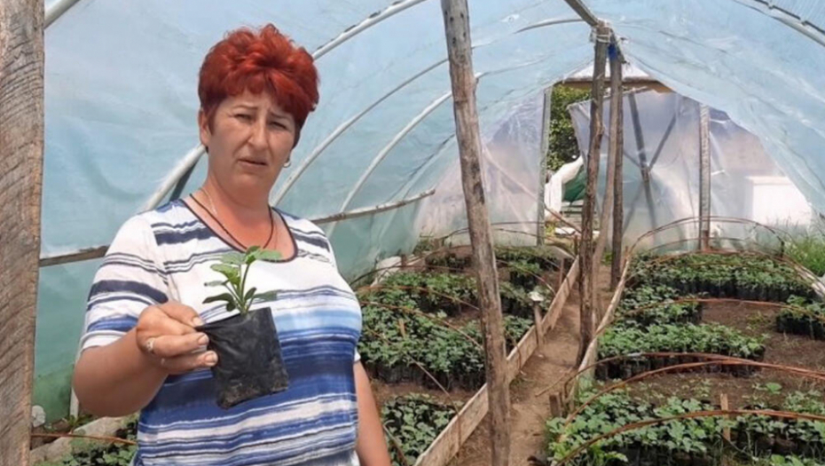 JELENA IZ RAJKOVCA KOD TOPOLE NIJE ČEKALA DA JOJ PADNE S NEBA: Sama razvila biznis, počela uz oca a sad ih prodaje na hiljade