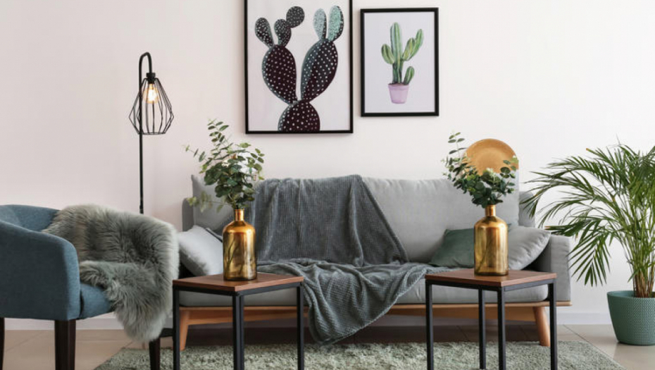 PAZITE ŠTA DRŽITE U KUĆI! Ove 2 stvari izazivaju ozbiljna obolenja