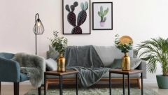 PAZITE ŠTA DRŽITE U KUĆI! Ove 2 stvari izazivaju ozbiljna obolenja