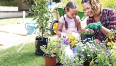 JEDNA KAP SPAŠAVA BAŠTU: Evo kako da sačuvate voće i povrće od trulenja, gljivica i pepelnice!