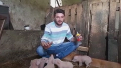 Neverovatan prizor kod Topole: Marko na cuclu hrani osam prasića koji su po rođenju ostali bez majke, ustaje tokom noći na svaka dva sata kako ni trenutka ne bi bili gladni