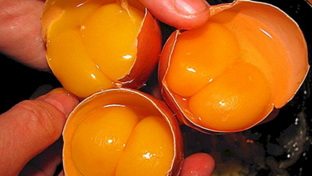 NAJMOĆNIJI PRIRODNI LEK ZA KOSTI: Ovaj recept vam nijedan farmaceut neće otkriti