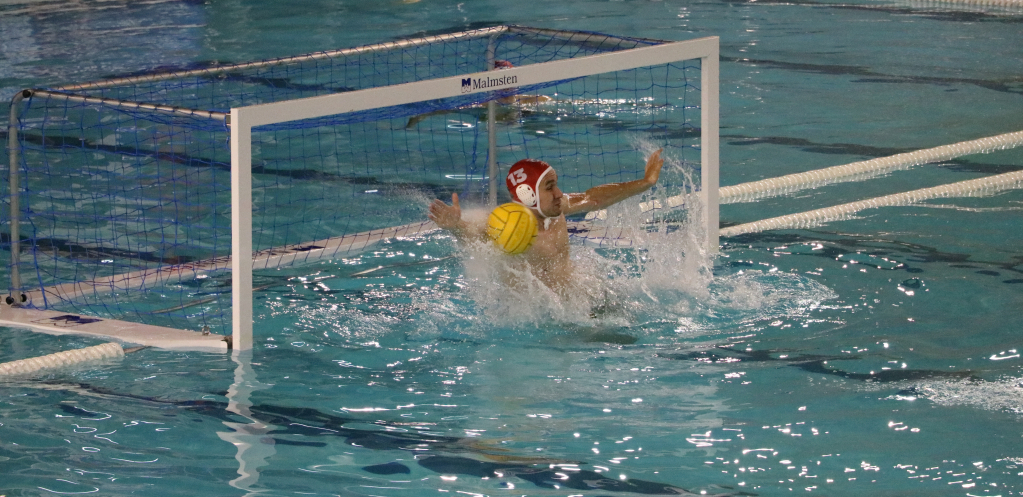 NOVOBEOGRAĐANI IZBORILI POVRATAK U ŠUMADIJU Radnički poražen, majstorica u sredu