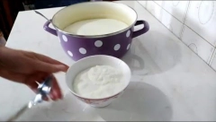 NAPRAVITE KOD KUĆE ČAŠU ZDRAVLJA:  Domaće kiselo mleko ili jogurt, najbrže podiže imunitet