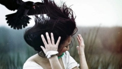 OVO JE ZNAK DA ĆE VRANE NAPASTI Postaju agresivne samo ako se oglušite o njihovo upozorenje