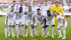 KOPI - PEJST Petković na EURO vodi skoro sve igrače koji su igrali na Mondijalu protiv Srbije