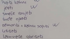 SVIMA TREBA OVAKVA LISTA Žena objavila spisak obaveza za taj dan i oduševila sve na društvenoj mreži: "Smejala sam se ceo dan, ali sam odlučila i ja slično da uradim"