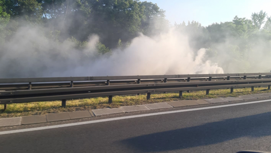 STRAVIČNA TRAGEDIJA U Gospođincima POGINULI MAJKA I SIN, pošli kod lekara, pa se zakucali u drvo!
