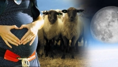 Koliko je opasno lečenje kod vračeva: "Salivanje straha" može ostaviti posledice na zdravlje