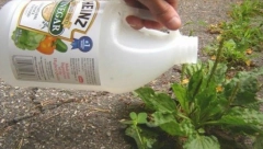 NE DAJTE DA VAS OBMANJUJU: Iako je pogodno za uklanjanje nečistoća, sirće može da uništi ove stvari