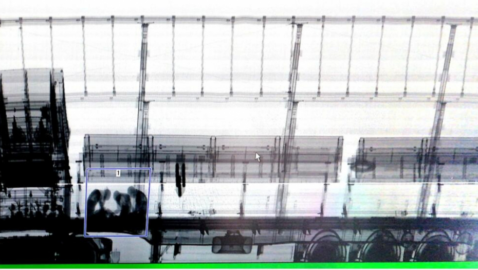 Uhapšeni Srbi: Pokušali da omuguće šverc 62 migranata