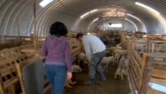 BILJANA I VLADIMIR VRATILI SE NA DEDOVINU Novi traktor je pomoć od države, planiraju da selu vrate život