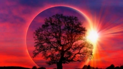 SUTRA JE POMRAČENJE SUNCA Ako ovako zamislite želju ostvariće vam se vrlo brzo