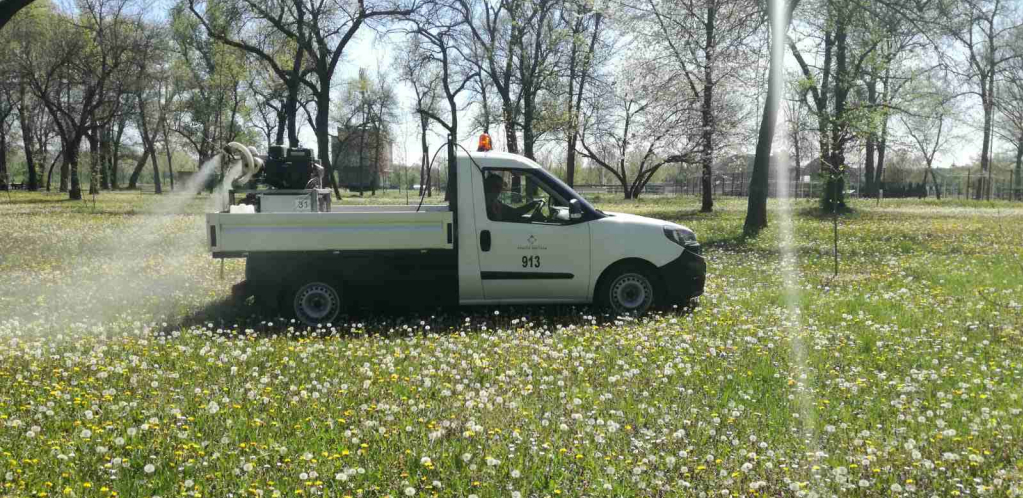 HRVATSKI GRAD POD OPSADOM OPAKIH INSEKATA! "Izašla sam da zalijem cveće i odmah pobegla, ne može da se živi od njih!"