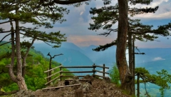 RASKIĆURAVAŠ LI BANJAČKI? Osaćani sa Tare - Neimari koji su izmislili svoj jezik