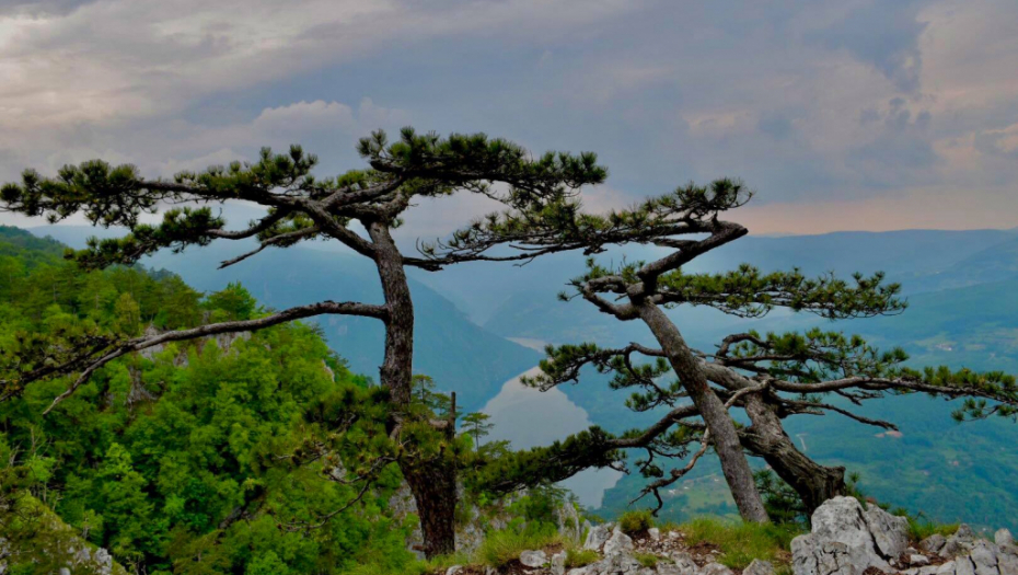 NE SMETE PROPUSTITI OVE FANTASTIČNE PRIZORE Najtraženije destinacije u Srbiji ove sezone