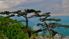 NE SMETE PROPUSTITI OVE FANTASTIČNE PRIZORE Najtraženije destinacije u Srbiji ove sezone