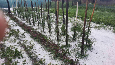 JAKO NEVREME POGODILO SREM Grad tukao zasade! Meštani zabrinuti (FOTO/VIDEO)
