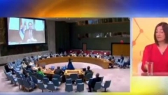 LJILJANA SMAJLOVIĆ O GOVORU PREDSEDNIKA NA SAVETU BEZBEDNOSTI UN Znao je Bramerc da tu sedi Vučić i šta može da mu se desi ako krene na Srbiju, predstavnik Hrvatske je dobio po ušima (VIDEO)