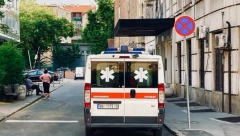 UŽAS U VLASOTINCU Pas napao dečaka: Odgrizao mu deo uha