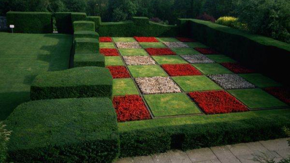 MINIMALIZAM ODLAZI U ISTORIJU: U trendu su džungla vrtovi i šah travnjaci! 3 jednostavna saveta iskusnih baštovana