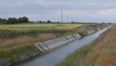 DRAMA U KIKINDI Supružnici s bebom sleteli u kanal!