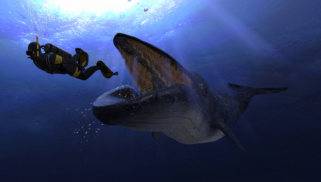 BANDE KITOVA NAPADAJU Morske ubice napadaju kod obala Španije i Portugalije