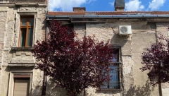 CELA KUĆA U SRBIJI ZA 1.594 EVRA Uz nju ide i ogroman plac, a evo gde se nalazi i kako možete da je kupite