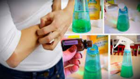 GARANTOVANO "RADI"! NAPRAVITE DOMAĆI SPREJ PROTIV KOMARACA: Bez hemije, sa samo dva jeftina sastojka, koja imate u kući