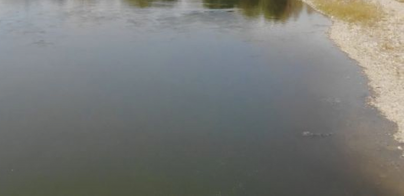 ČEKA NAS MOŽDA I NAJSUŠNIJA GODINA Vodostaji reka u Srbiji na minimumu, kritično na Savi