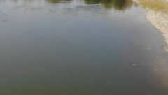 TRAGEDIJA NA MORAVI Rade i Velibor nisu isplivali, u toku potraga za telima