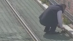 VOZAČ TRAMVAJA ODUŠEVIO CEO SVET Tokom vožnje spasio kornjaču, nadzorne kamere sve snimile (VIDEO)