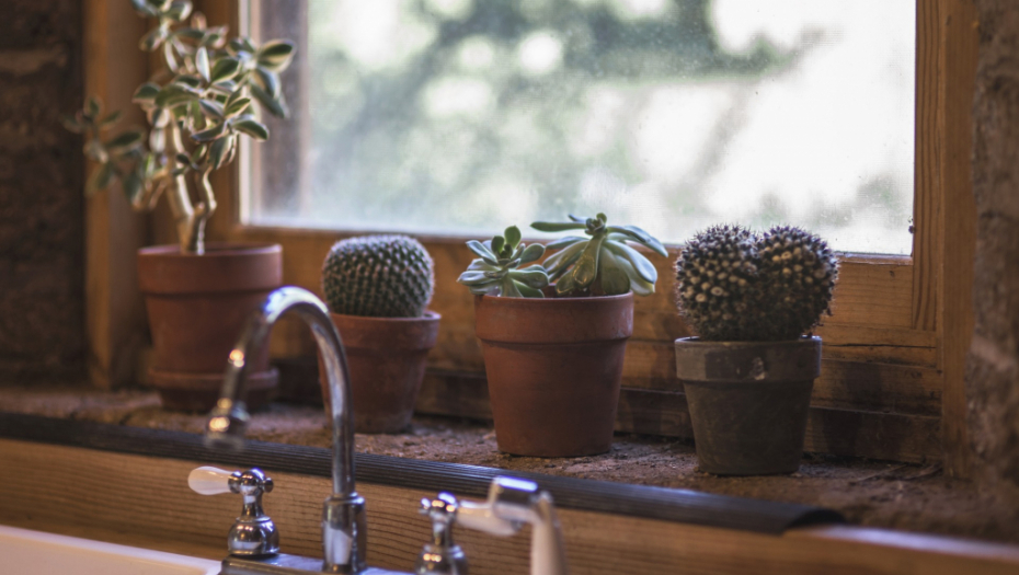 DA SLAVINE BUDU KAO NOVE Potrebna je samo jedna namirnica i česme će zablistati (VIDEO)