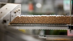 VELIKI ZAOKRET! Najveći svetski proizvođač cigareta počinje da pravi novi proizvod!