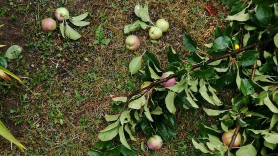 ŽESTOKO NEVREME U ŠUMADIJI! Vetar lomio grane i skidao crepove sa kuća (FOTO)