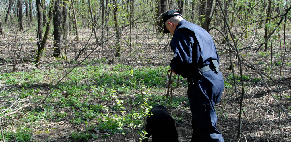 NEZAPAMĆENA DOGAĐAJ U OKOLINI KRUŠEVCA Pomahnitali srndać napao više ljudi, među povređenima deca i žene
