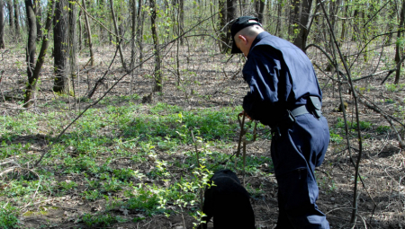 NEZAPAMĆENA DOGAĐAJ U OKOLINI KRUŠEVCA Pomahnitali srndać napao više ljudi, među povređenima deca i žene