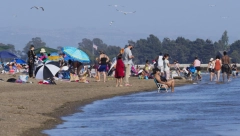 STRUČNJAK UPOZORAVA: Biće još više toplotnih talasa u budućnosti