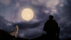 HOROSKOP ZA 23.JUN: Bik i Vaga pred velikim uspehom, Lava čekaju burne ljubavne promene, Jarac pred kolapsom (VIDEO)