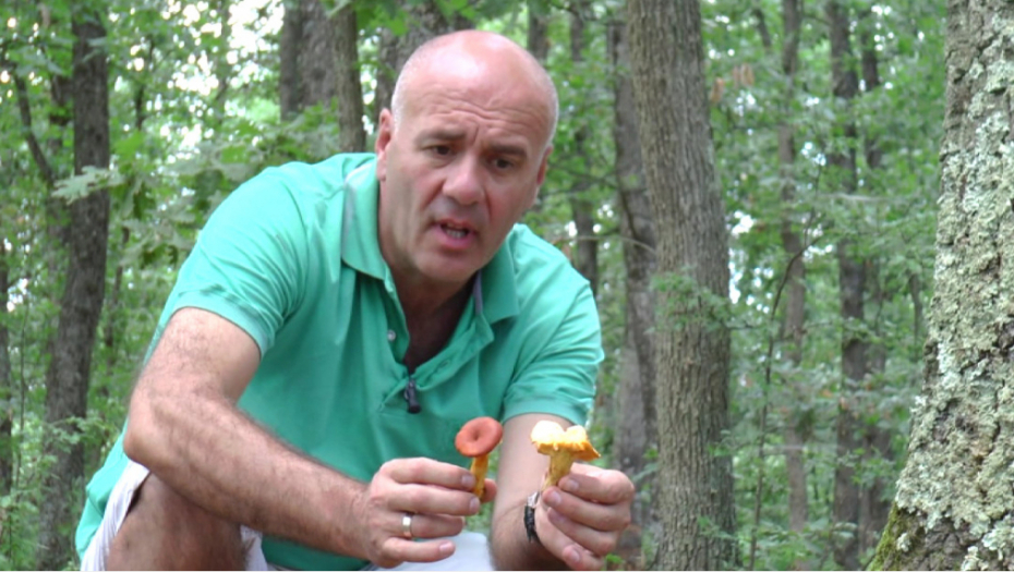 ZARADA I DO 5.000 EVRA DNEVNO Biznis koji cveta u Srbiji, berba je počela, rade ga i stari i mladi, ali postoji caka