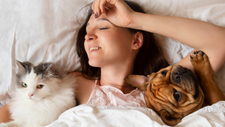 Ušuškavanje s ljubimcem