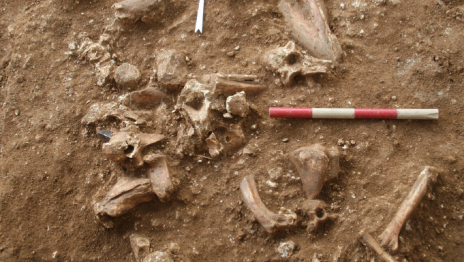 PRONAĐEN KOSTUR DETETA Zastrašujući prizor kod Vinkovaca