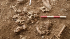 IMALI SU VELIKE ZUBE, ALI NE BRADU: U Izraelu nađeni ostaci nepoznate vrste ljudi!