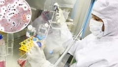 OTKRIĆE KOJE JE ŠOKIRALO SVET: Uništava ćelije najopasnije bolesti debelog creva, a nalazi se u ovom voću