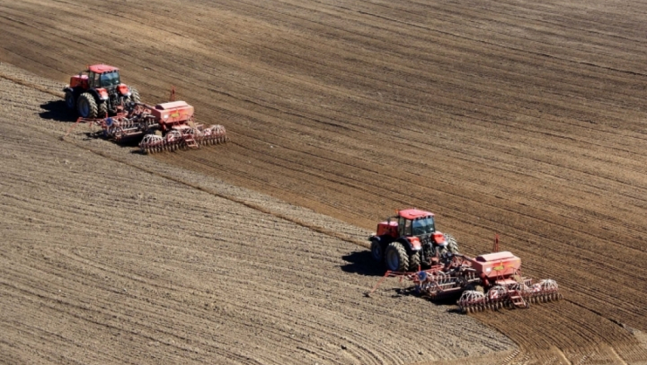 GRAD BEOGRAD USTUPA BESPLATNO ZEMLJIŠTE Raspisan konkurs za korišćenje državnih oranica